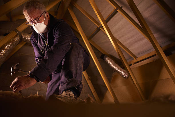 Best Geographic-Specific Insulation Services in West Point, MS