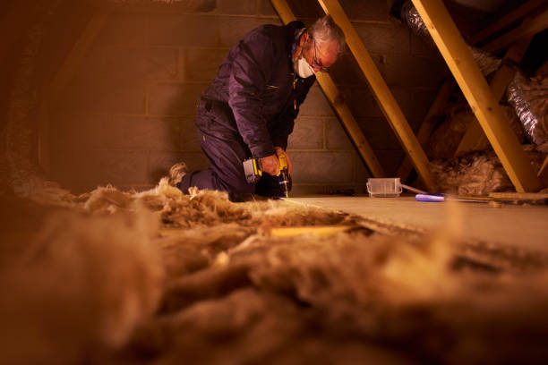 Best Eco-Friendly Insulation in West Point, MS